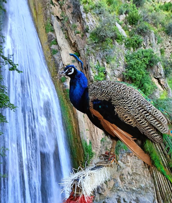 Cascades de Kefrida