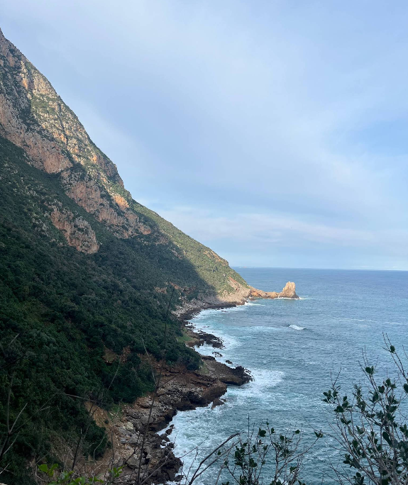 Pointe des salines (Tamelaht)